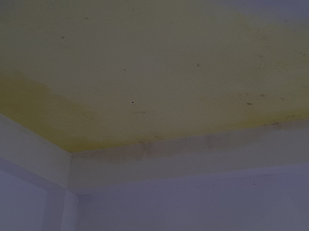 Cormorant Lake Resort主图