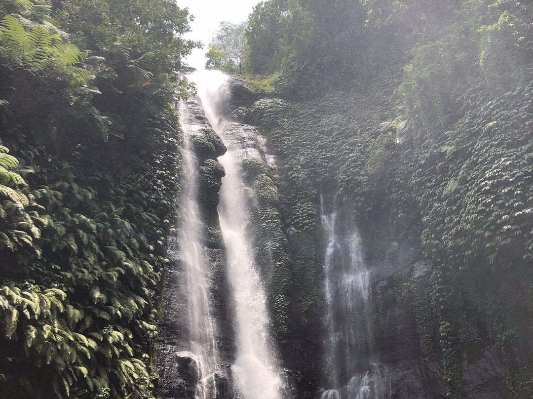 Fiji and sekumful waterfall trekking景点图片
