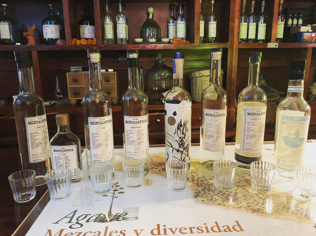 Mezcaloteca-瓦哈卡必去景点