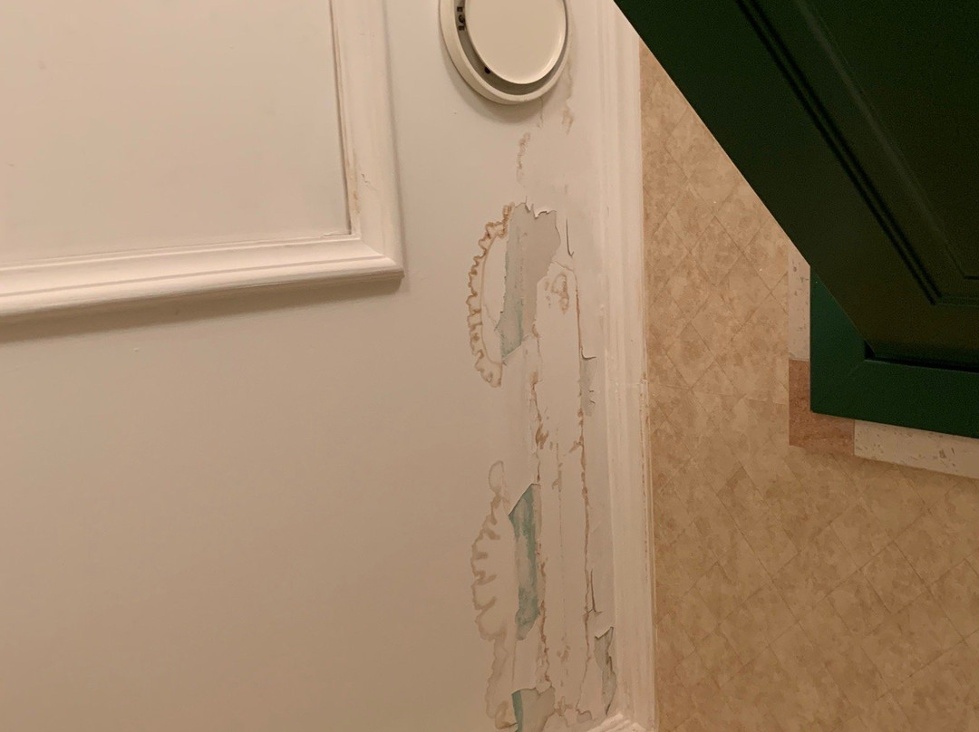 黎莱斯拉法托丽雅酒店主图