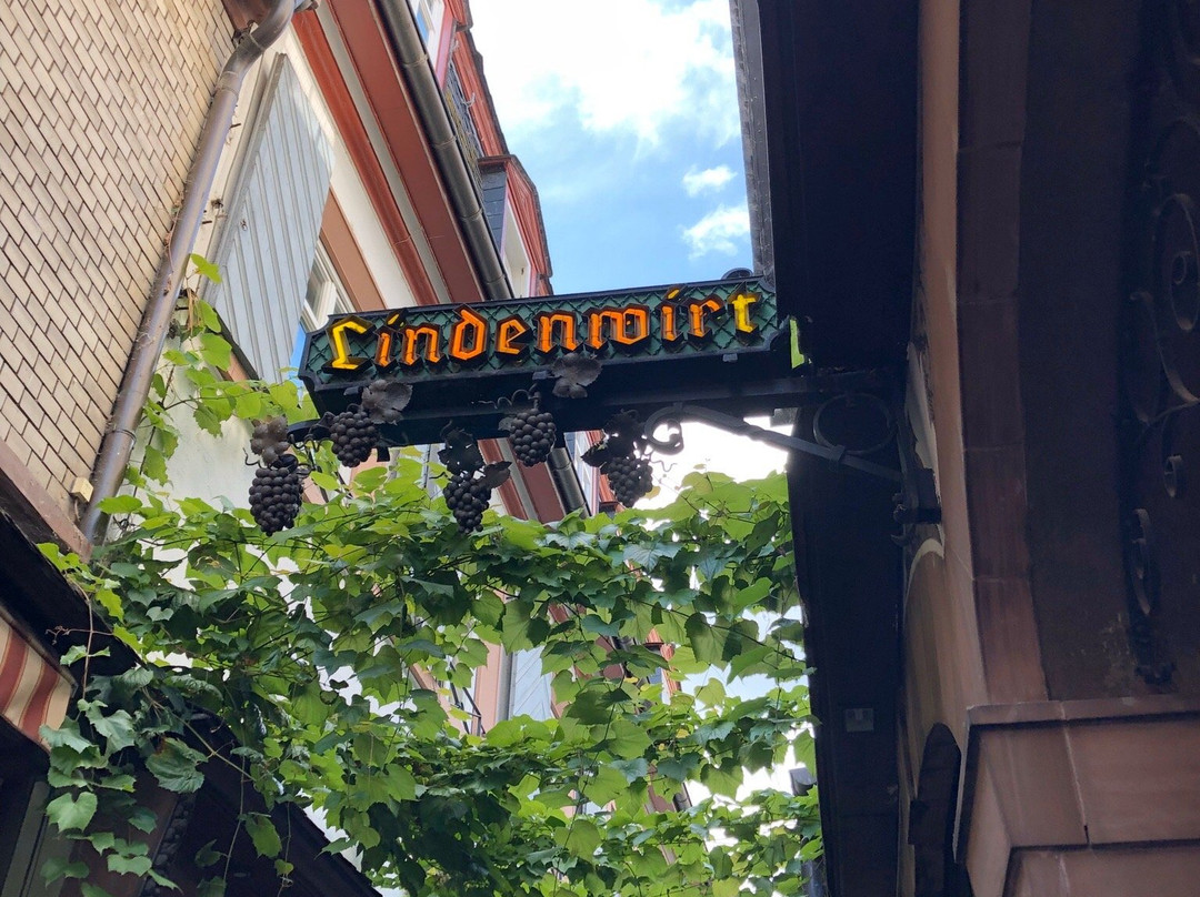 林德沃特酒店主图