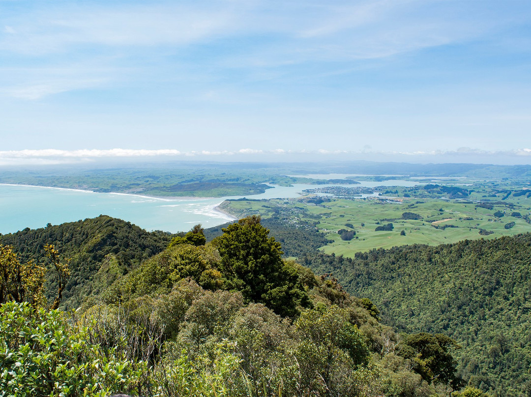 Mount Karioi summit tracks景点图片