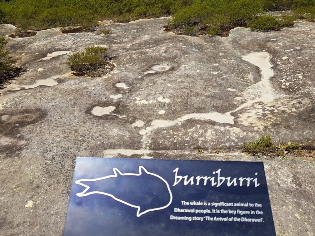 Dharawal Aboriginal Engravings Site-Royal National Park必去景点