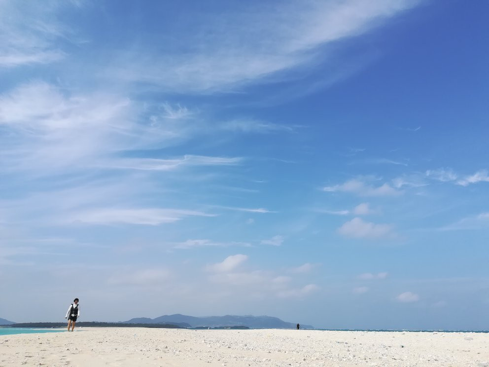 Bird Island景点图片