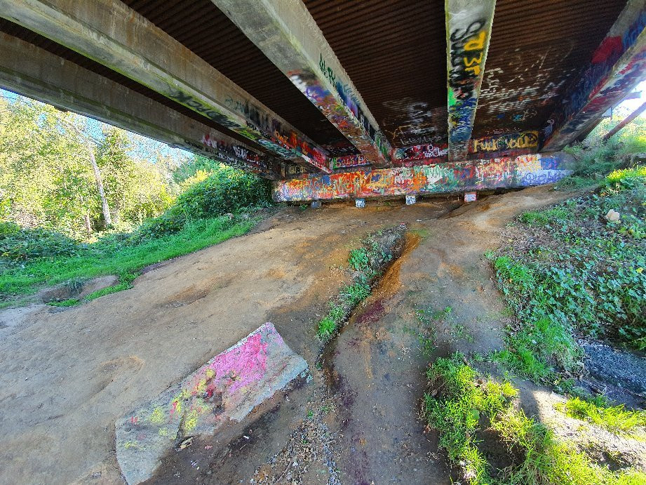Kurt Cobain Memorial Park景点图片