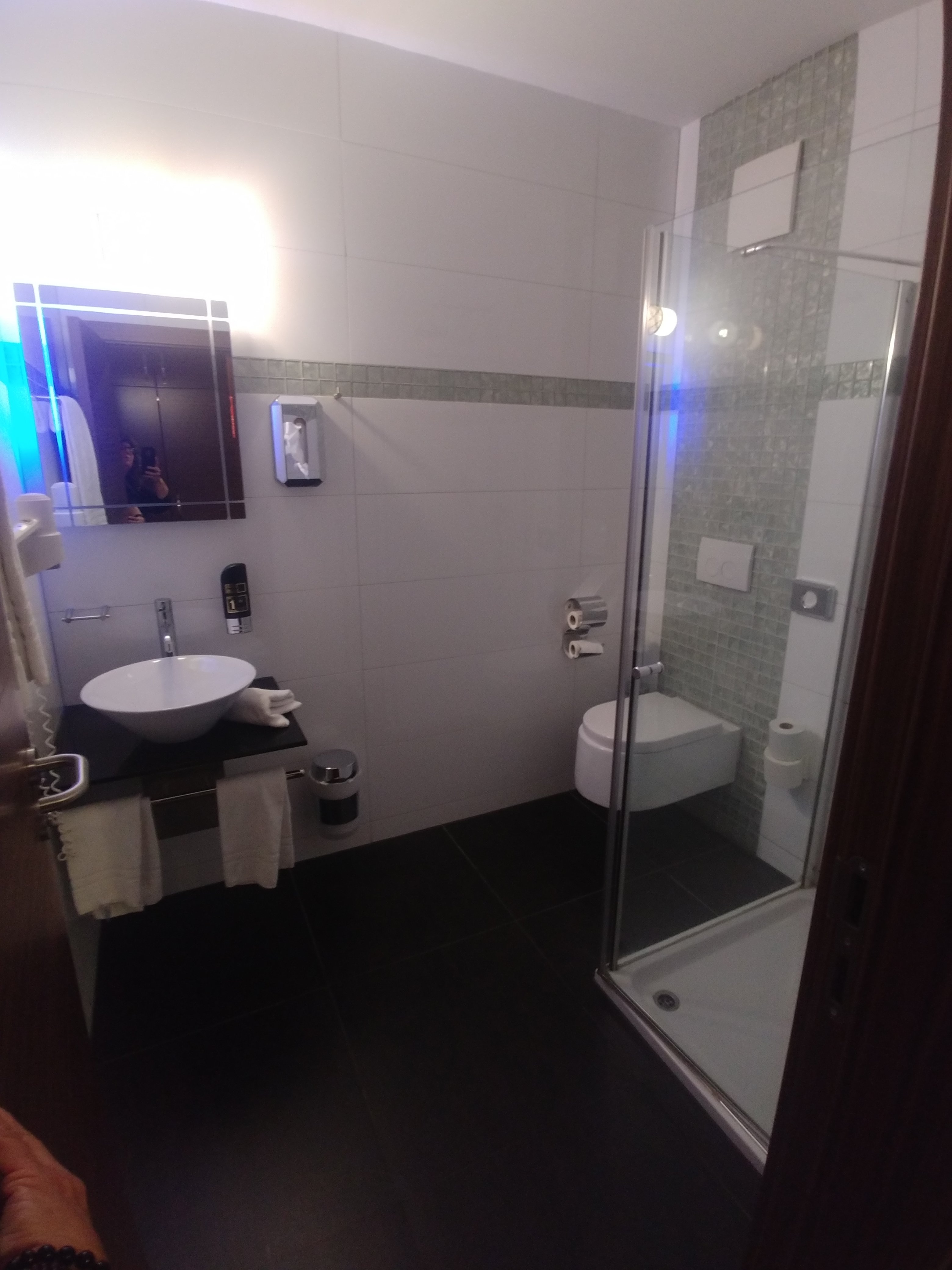 Airport Global Hotel-浴室