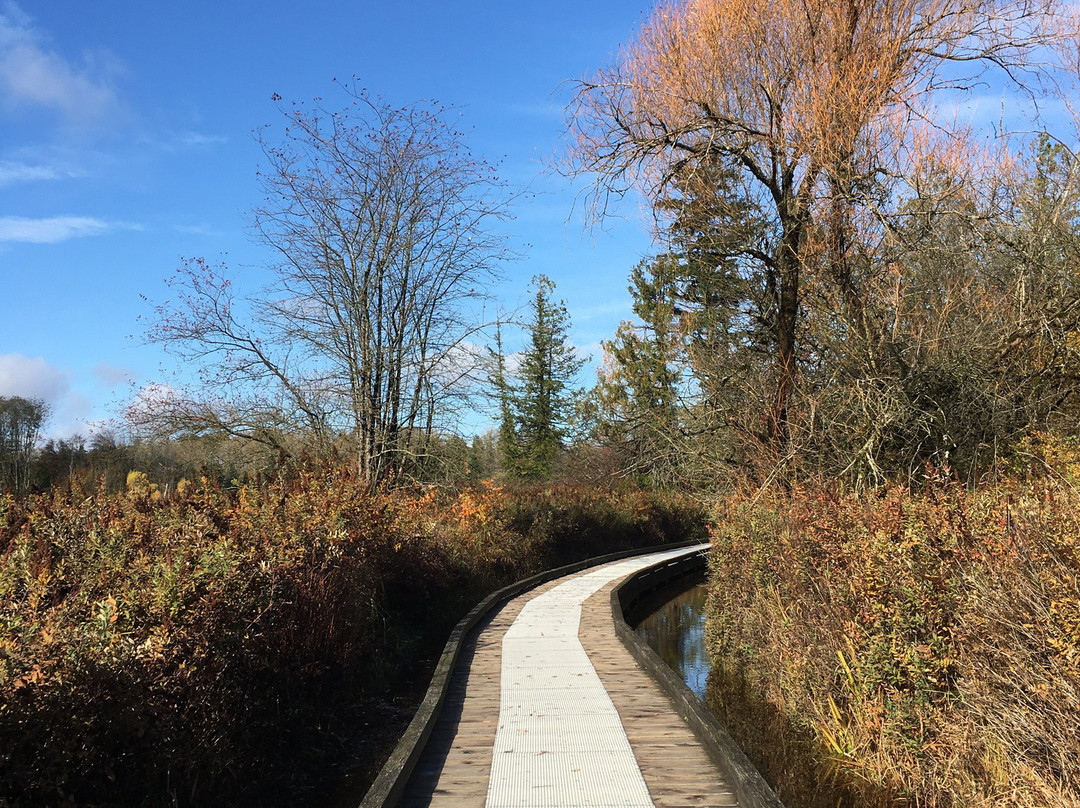 Deer Lake Park-本那比必去景点
