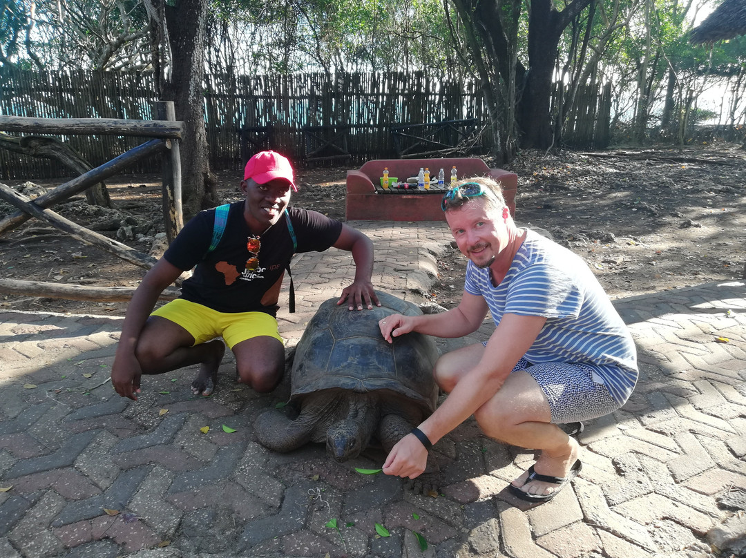 Imani Zuberi-石头城必去景点