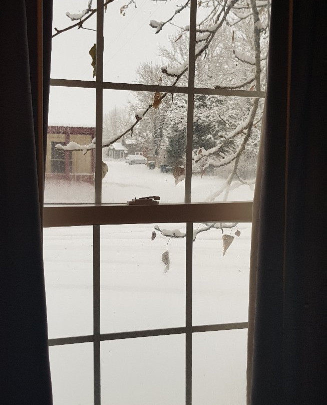 跳舞熊酒店主图