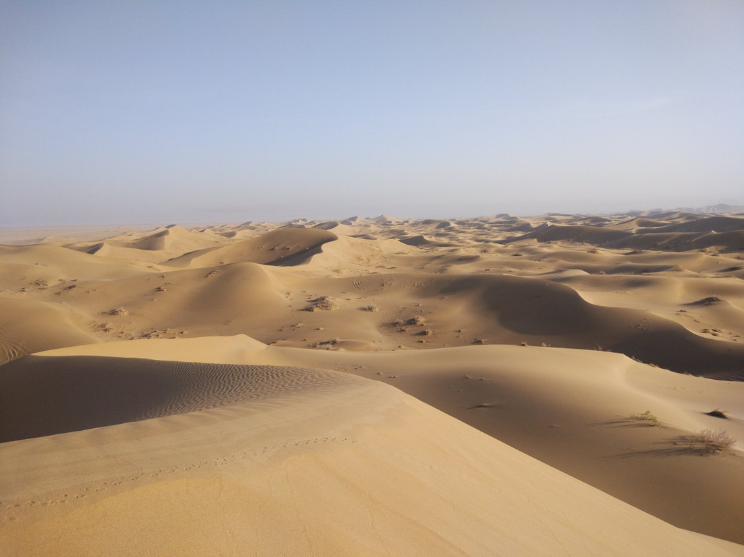 Varzaneh Desert景点图片