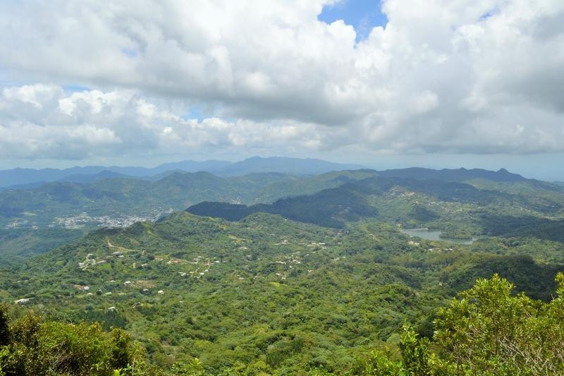 Monte Guilarte State Forest景点图片