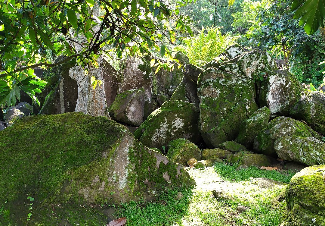 Parc Archéologique des Roches Gravées景点图片