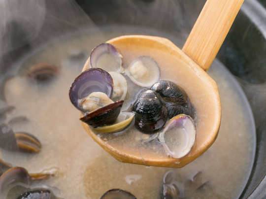 Shiki no Yado Sahimeno主图