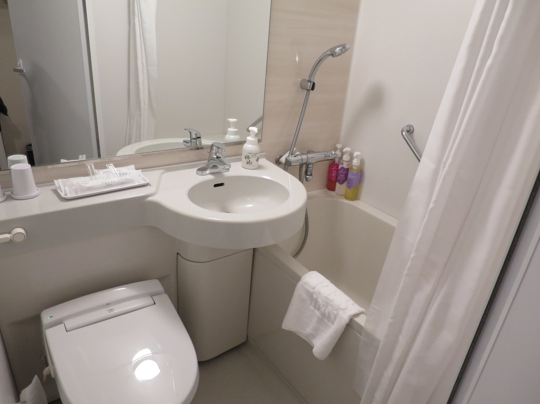 Sotetsu Fresa Inn Tokyo Roppongi主图