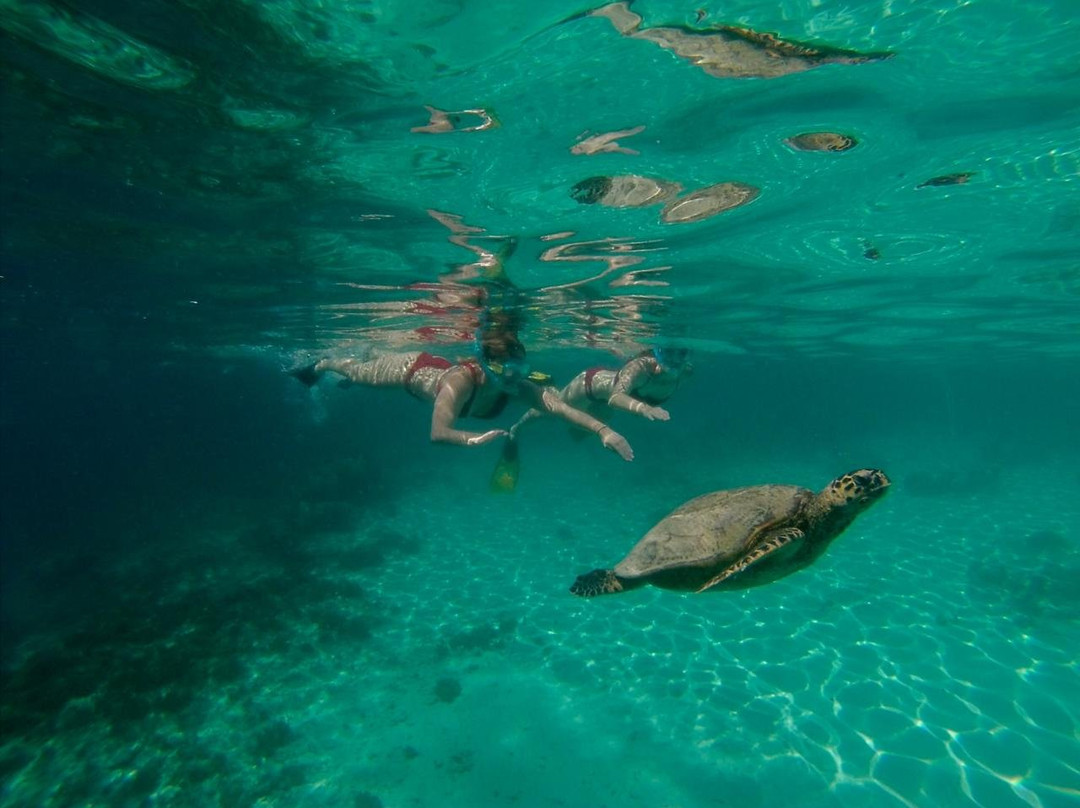 Lombok Swell Eco Tours-Senggigi必去景点