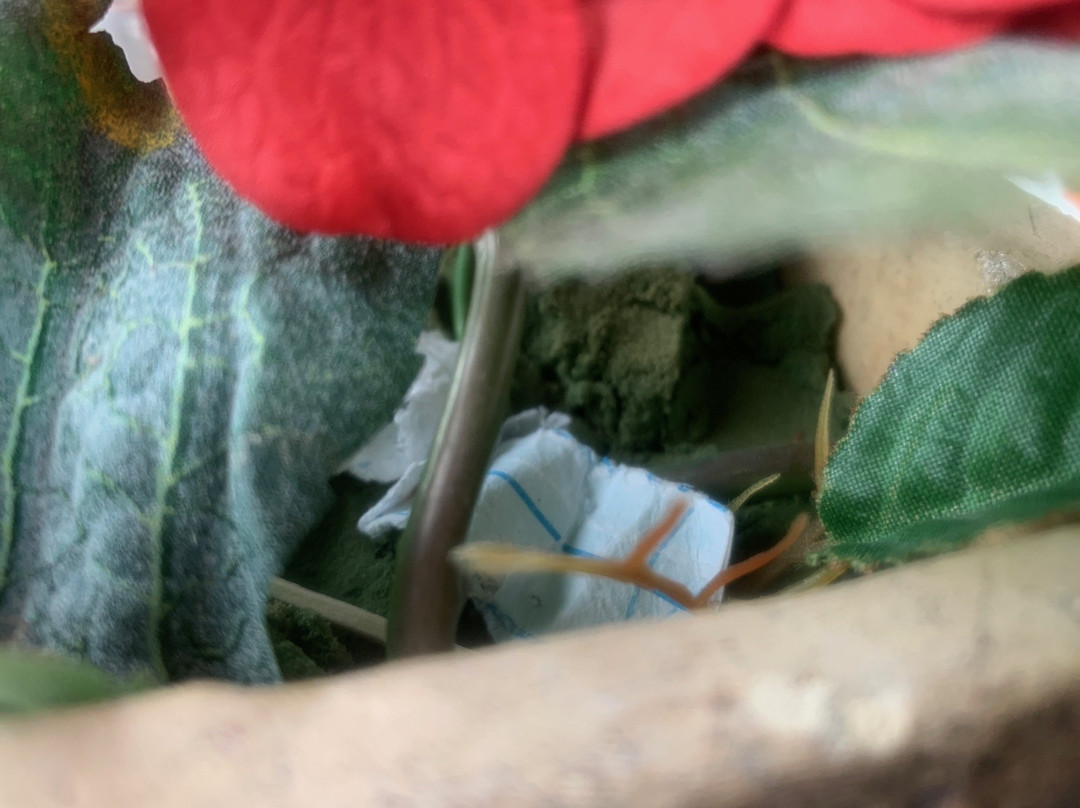 Panorama Hotel Lohme主图