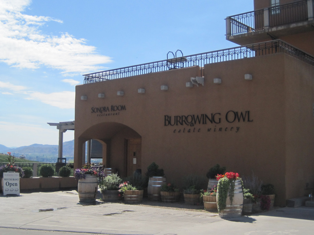 Burrowing Owl Estate Winery景点图片