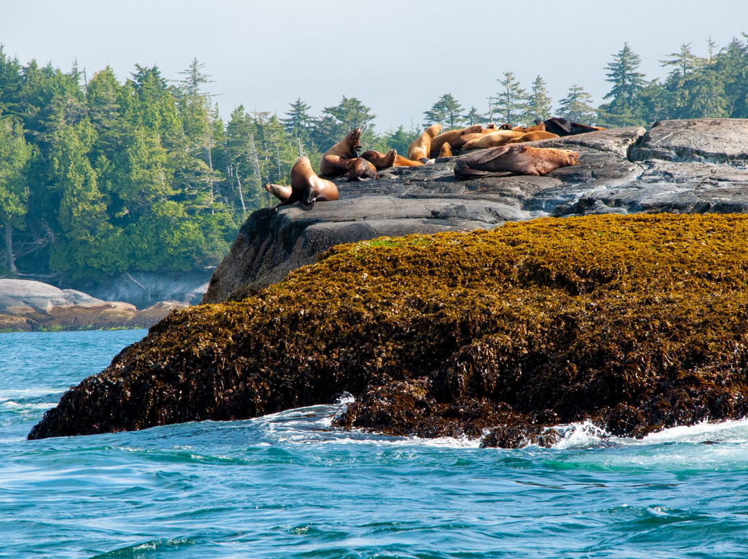k'awat'si Tours-哈迪港必去景点