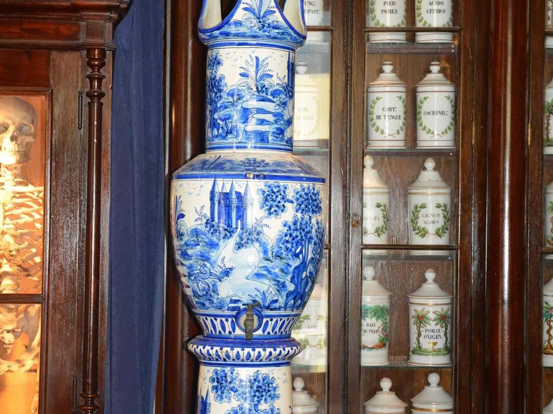 Taquechel Pharmacy Museum景点图片