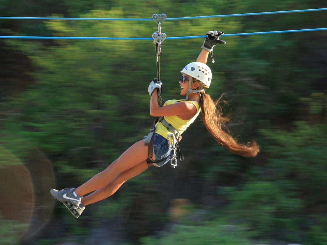 Cabo Adventures-卡波圣卢卡斯必去景点