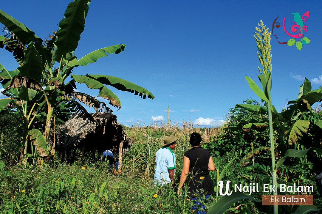 Co'ox Mayab-梅里达必去景点