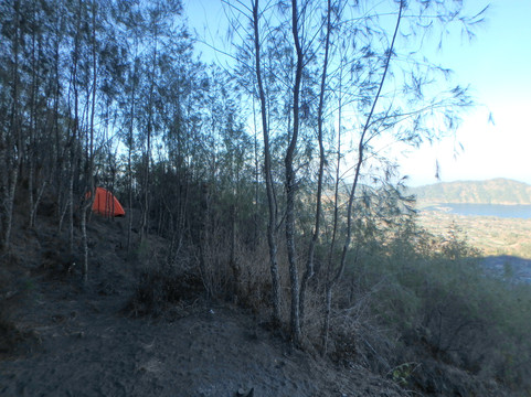 Bali Morning Trekking Tour-登巴萨必去景点