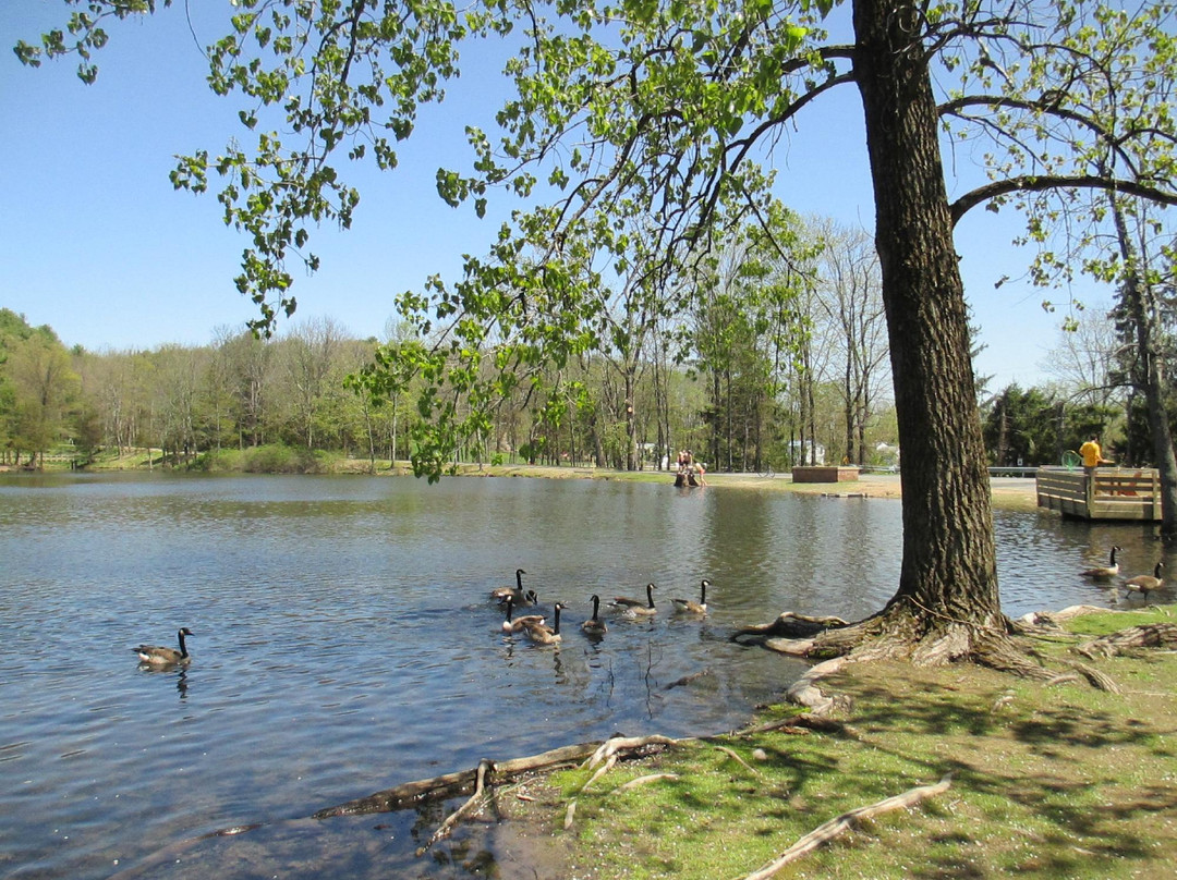 Lippman Park景点图片