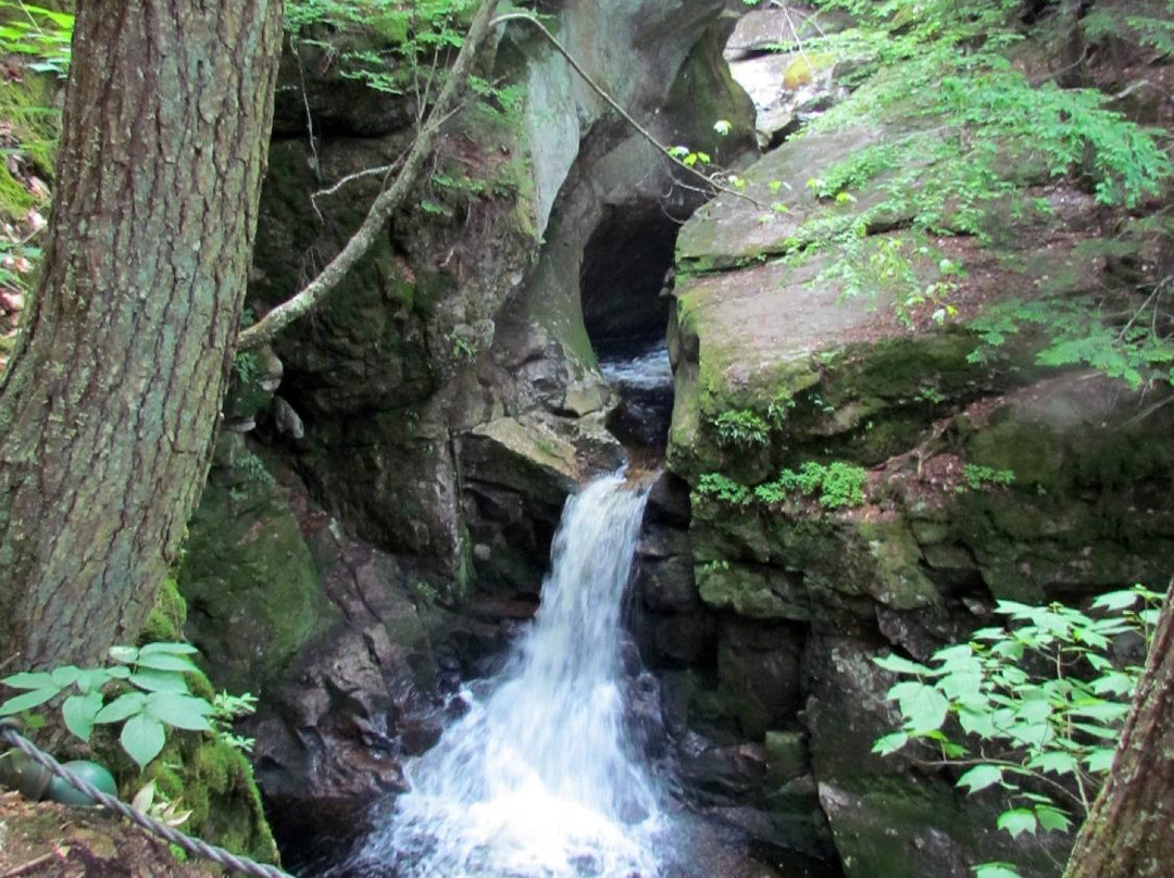 Welton Falls-Alexandria必去景点