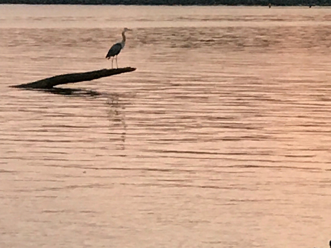 North East Community Park景点图片