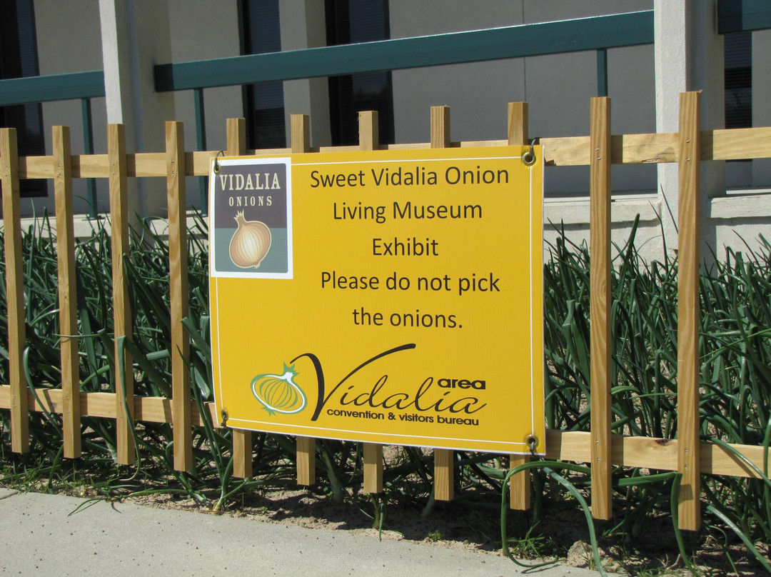 Vidalia Onion Museum景点图片