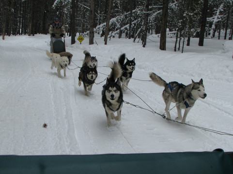 Good Times Adventures-布雷肯里奇必去景点