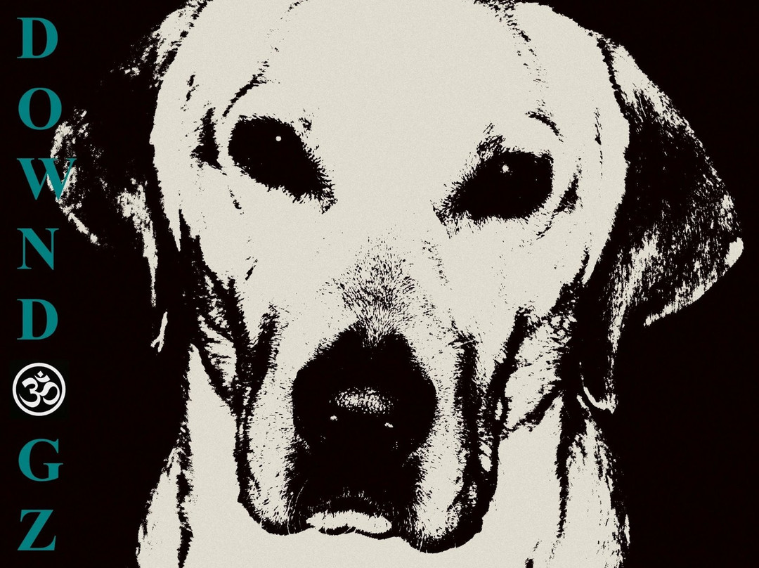 Crescent Beach旅游景点-Downdogz School of Yoga