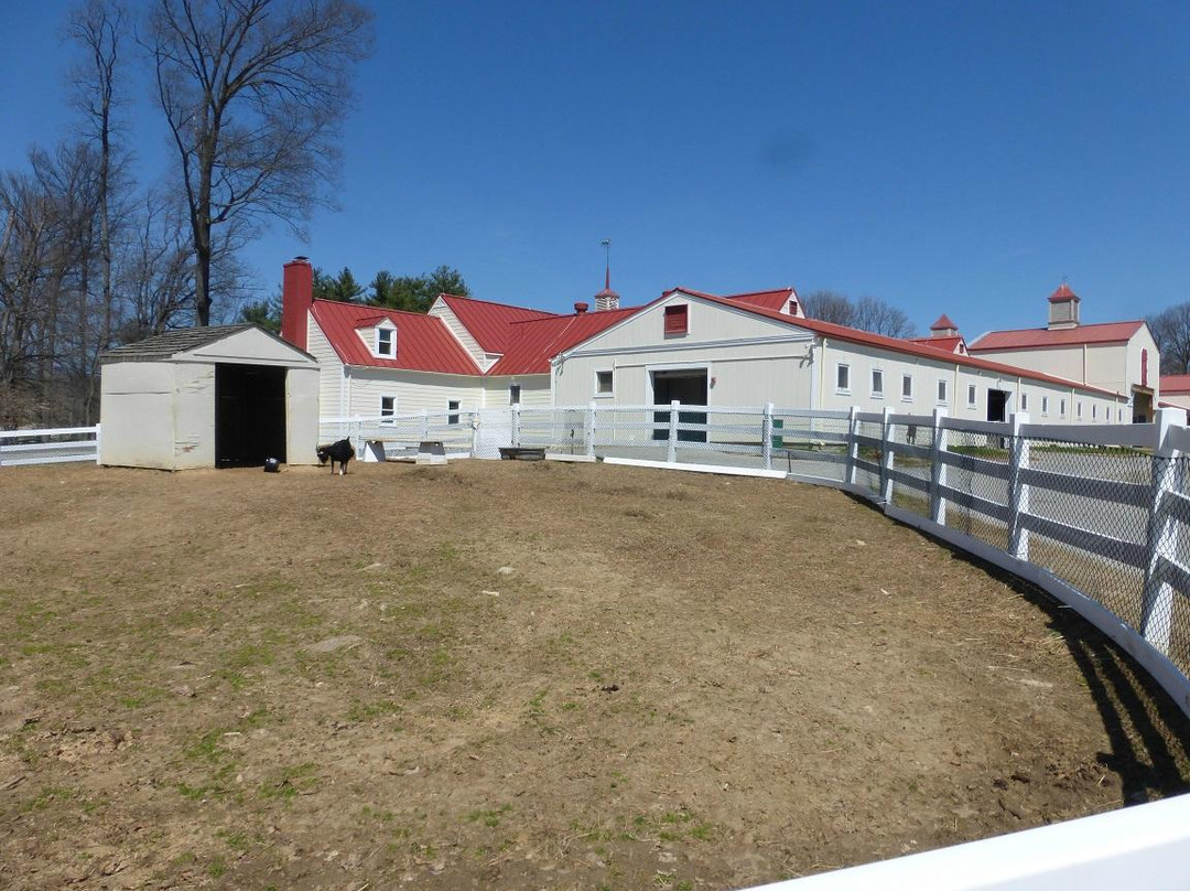 Carousel Park & Equestrian Center景点图片