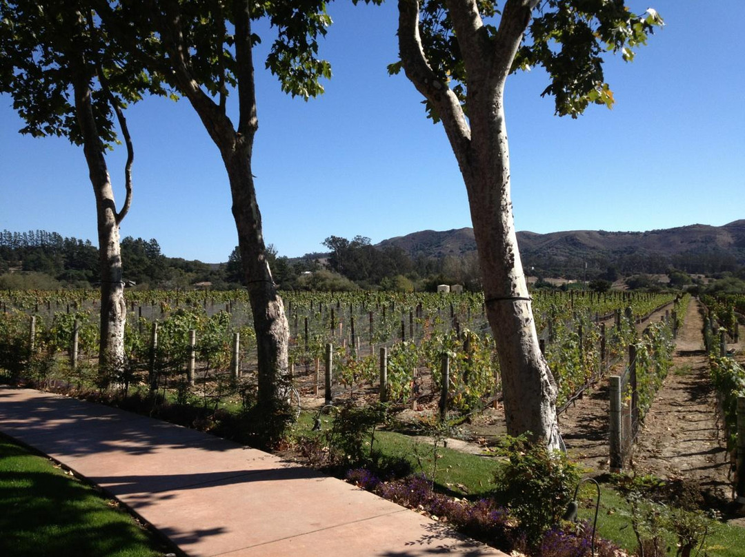 EOS Santa Barbara Wine Tours景点图片