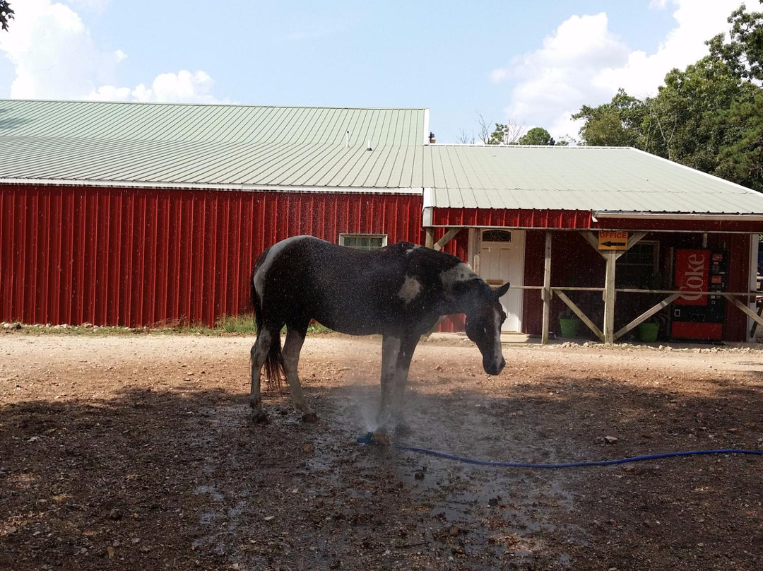 Green Forest旅游景点-Bear Mountain Riding Stable & Dude Ranch