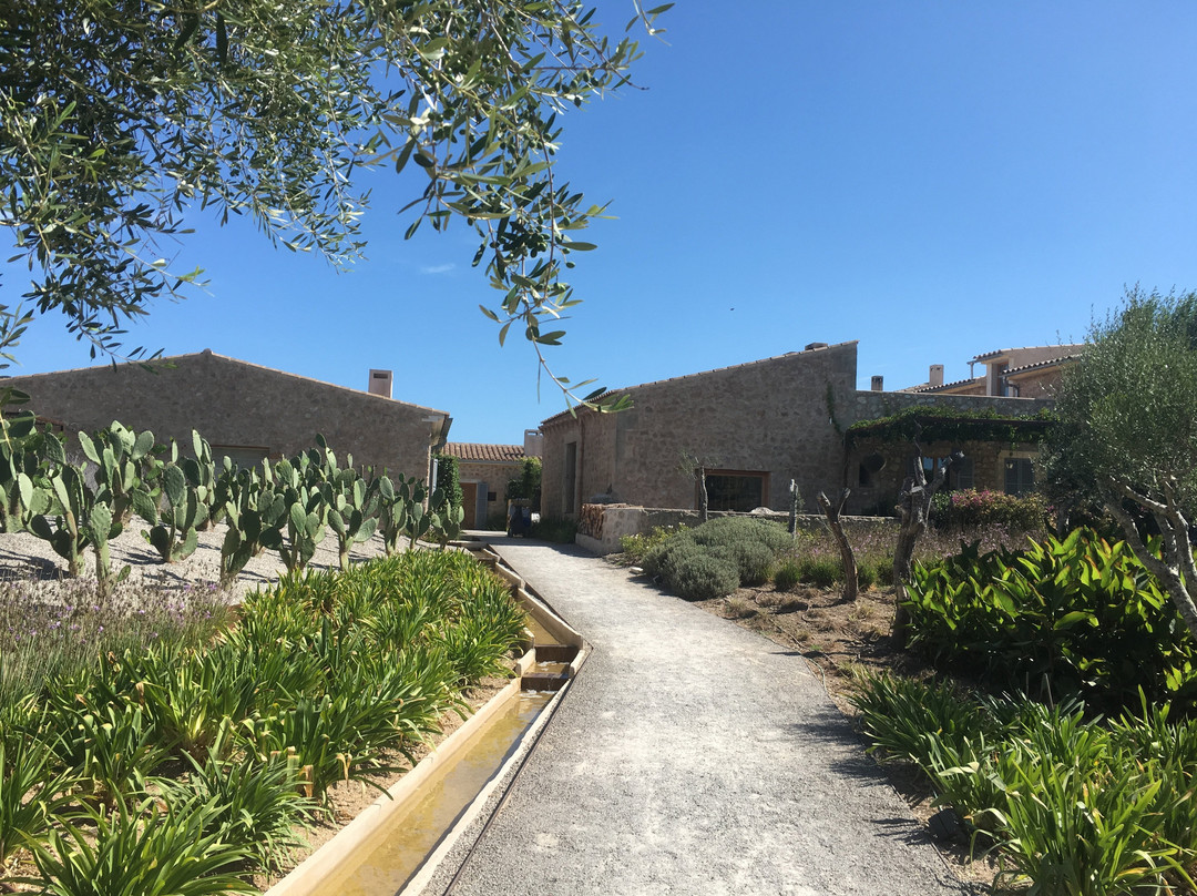 Finca S'Estelrica主图