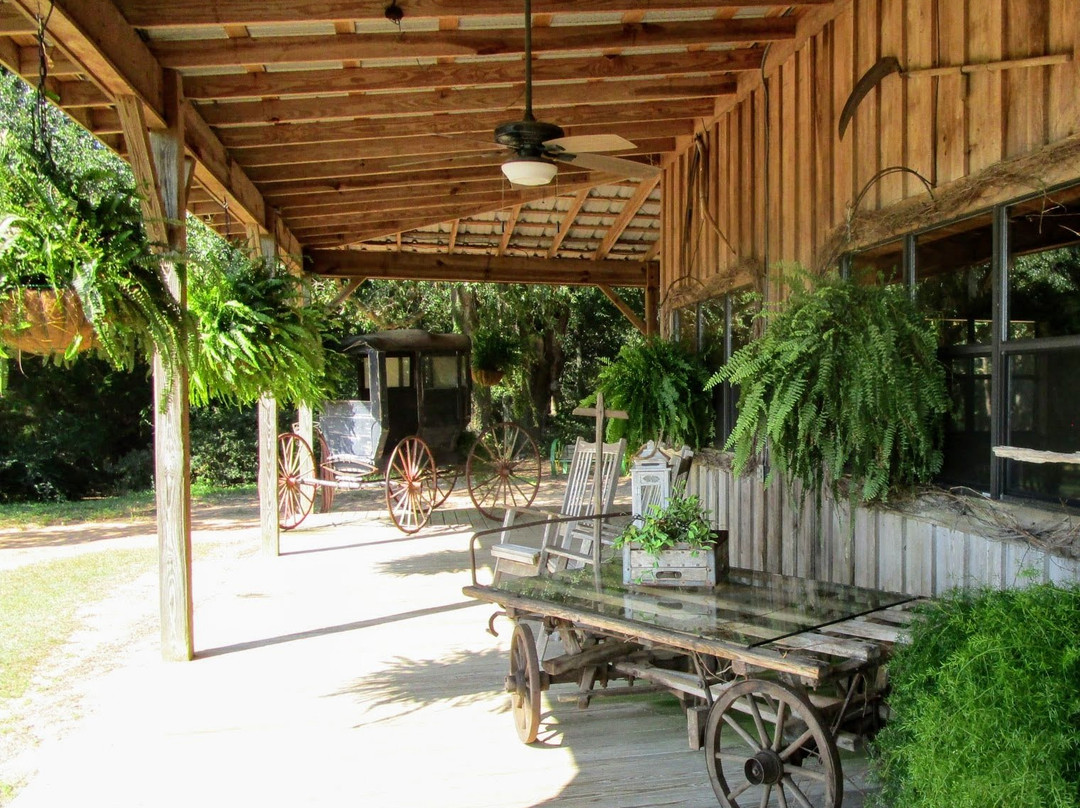 Oak Hollow Farm-费尔霍普必去景点