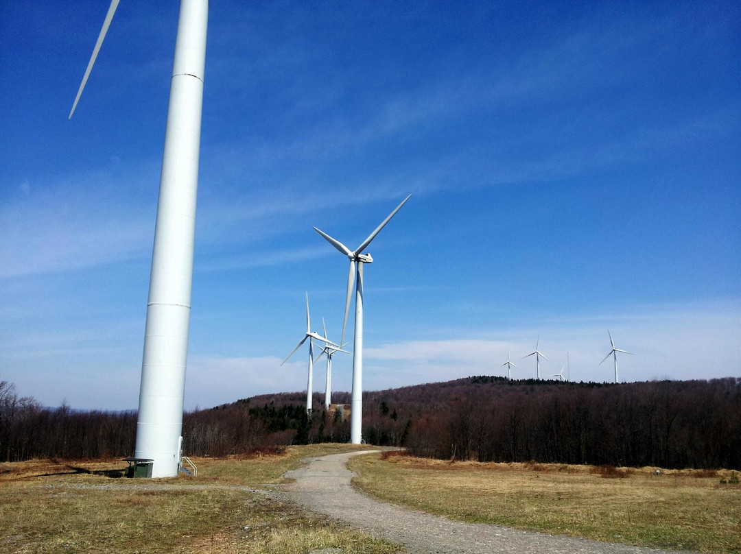 Thomas旅游景点-Mountaineer Wind Energy Center