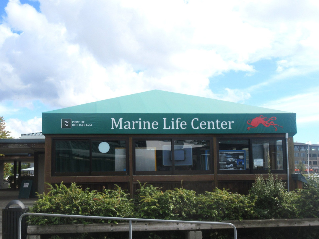 Marine Life Center景点图片