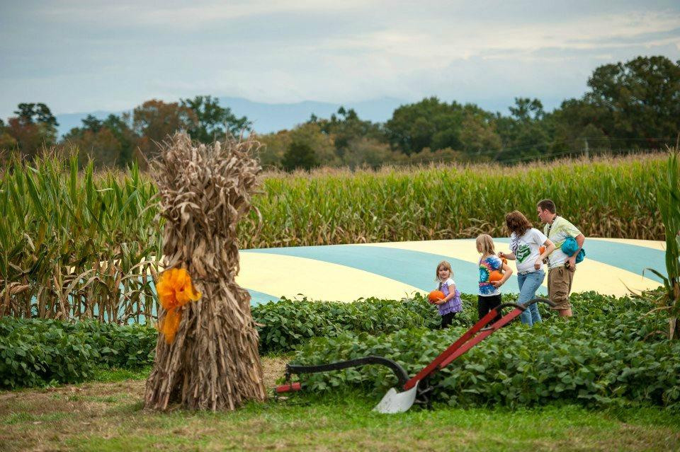 Kyker Farms Corn Maze景点图片