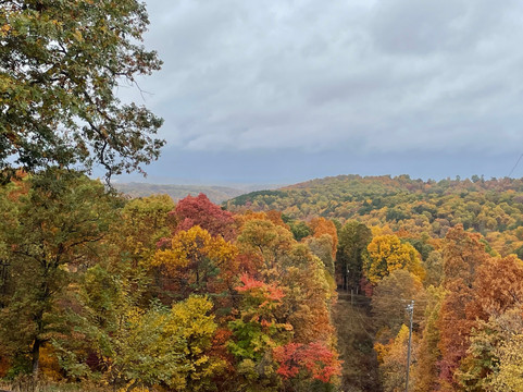 Eureka Springs Zipline
