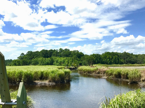 Green Pond旅游攻略图片