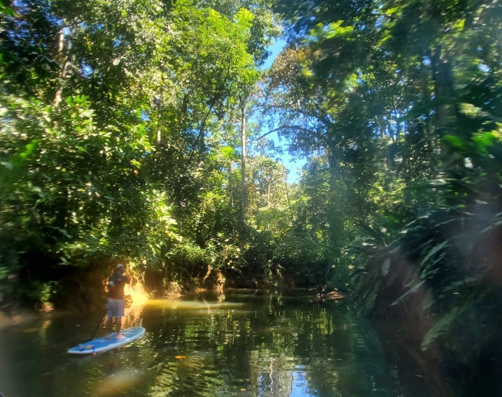 Green Water SUP Tours-Punta Uva必去景点