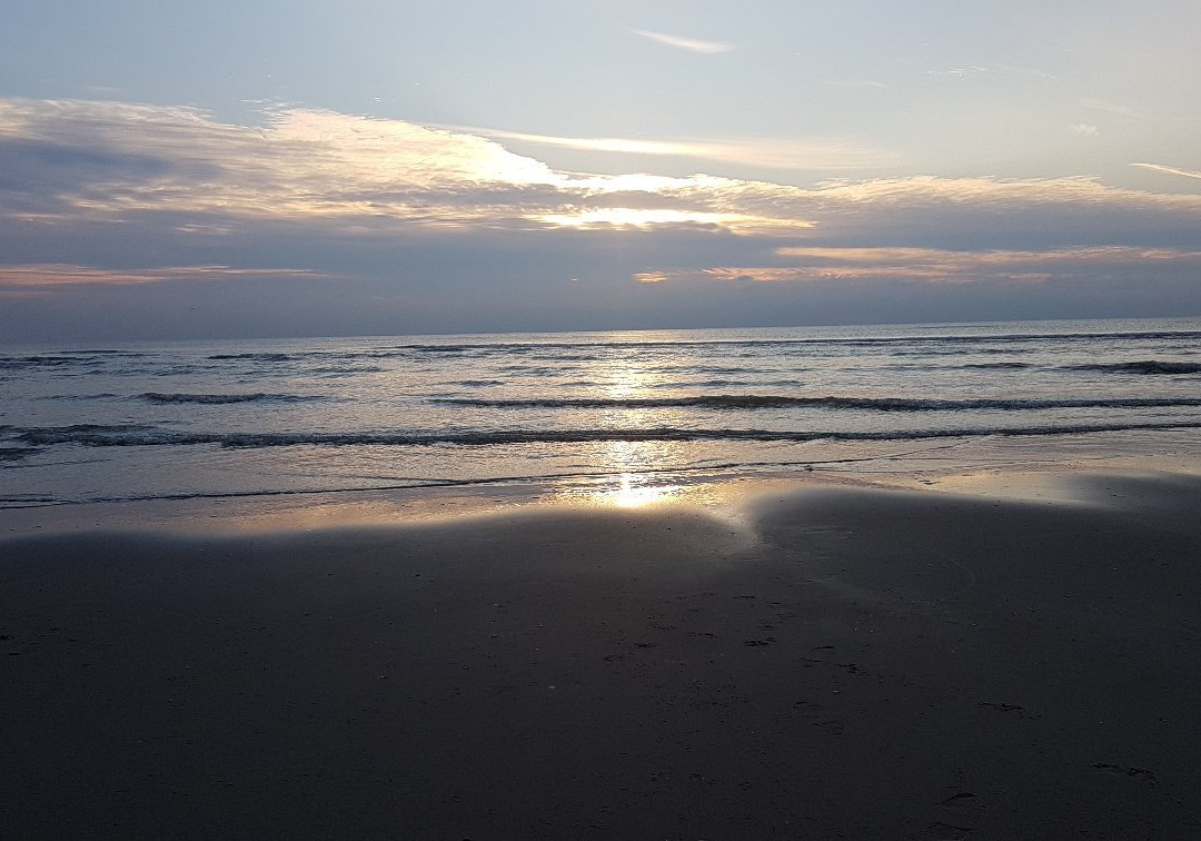 Hargen Aan Zee Strand景点图片