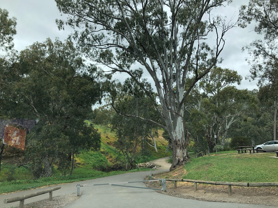 Dead Mans Pass Reserve景点图片