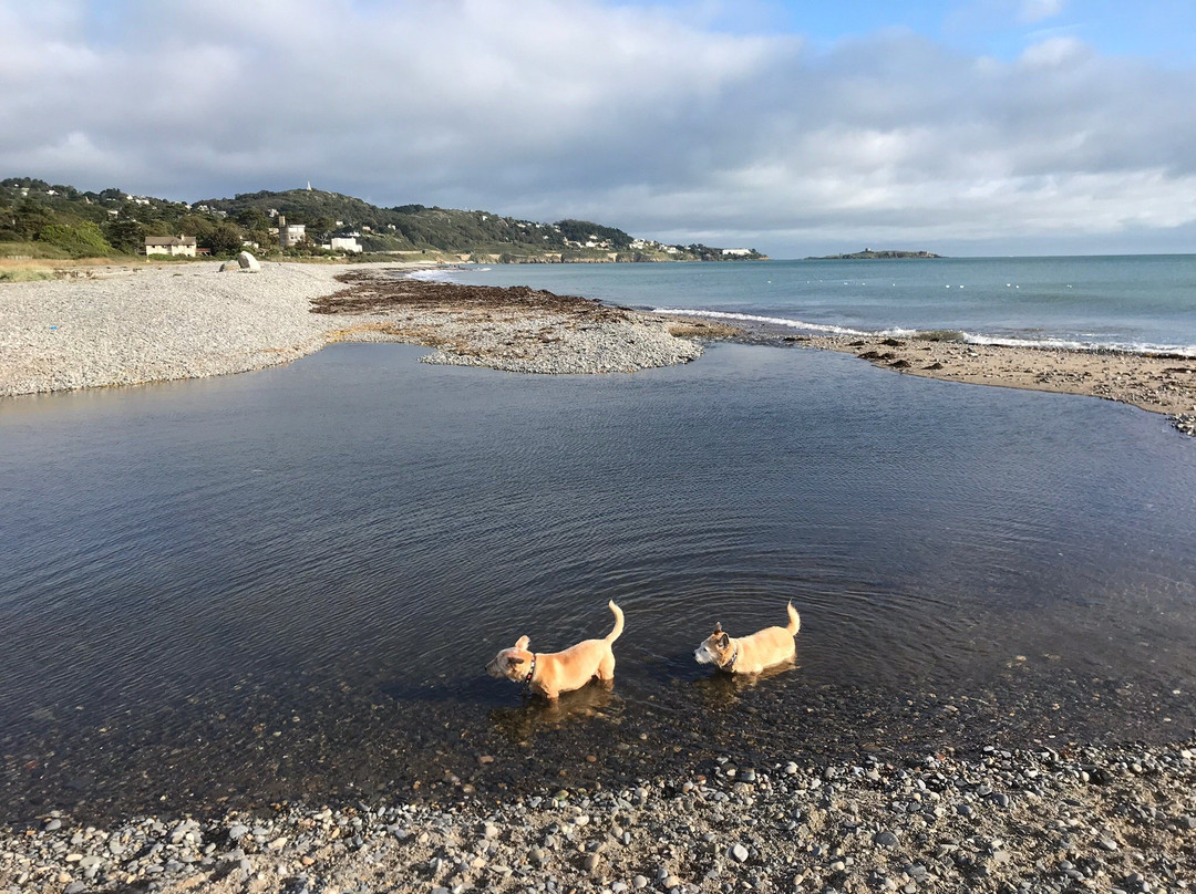 Shankill Beach-Shankill必去景点