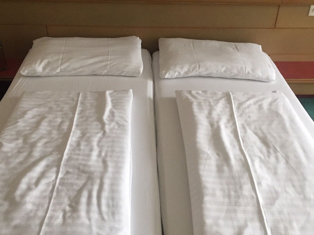 Stadthotel Eggerbräu主图