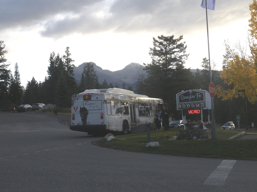 花旗松小屋度假酒店主图
