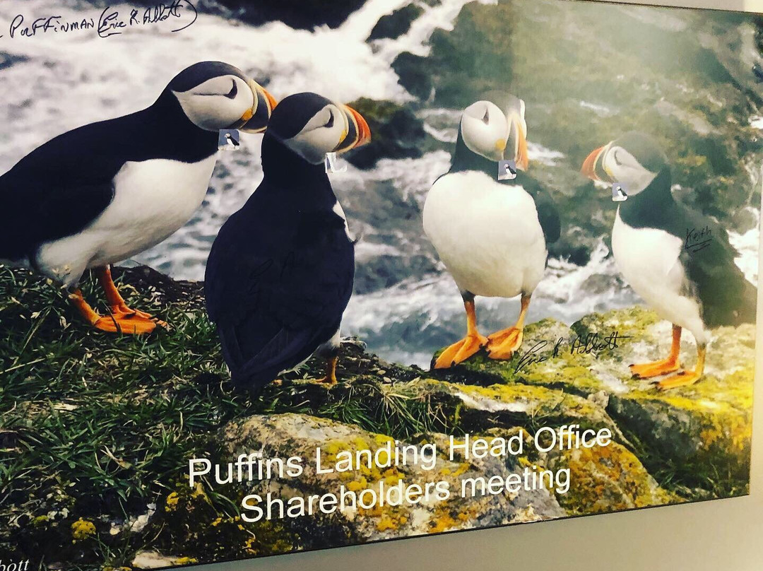 Puffins Landing Tourist Home主图