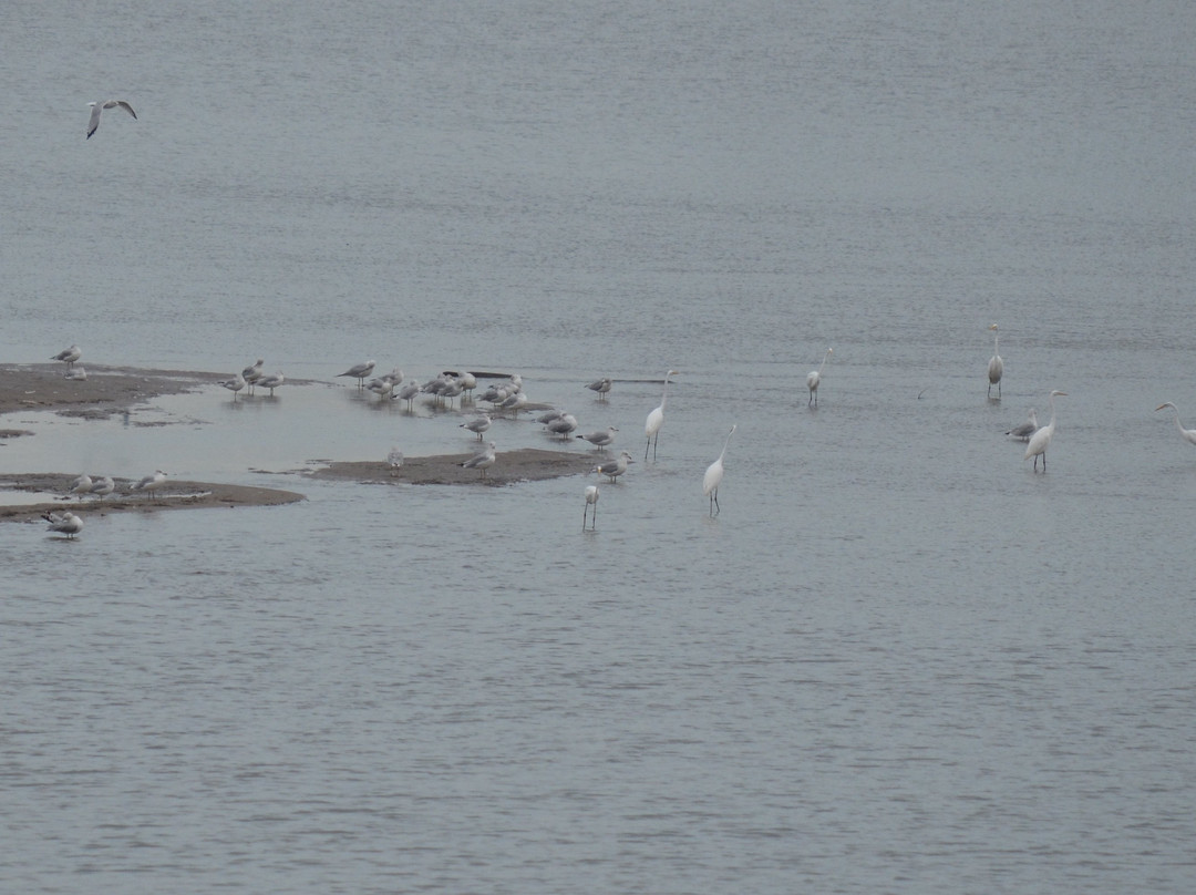 Audubon Center at Riverlands-West Alton必去景点
